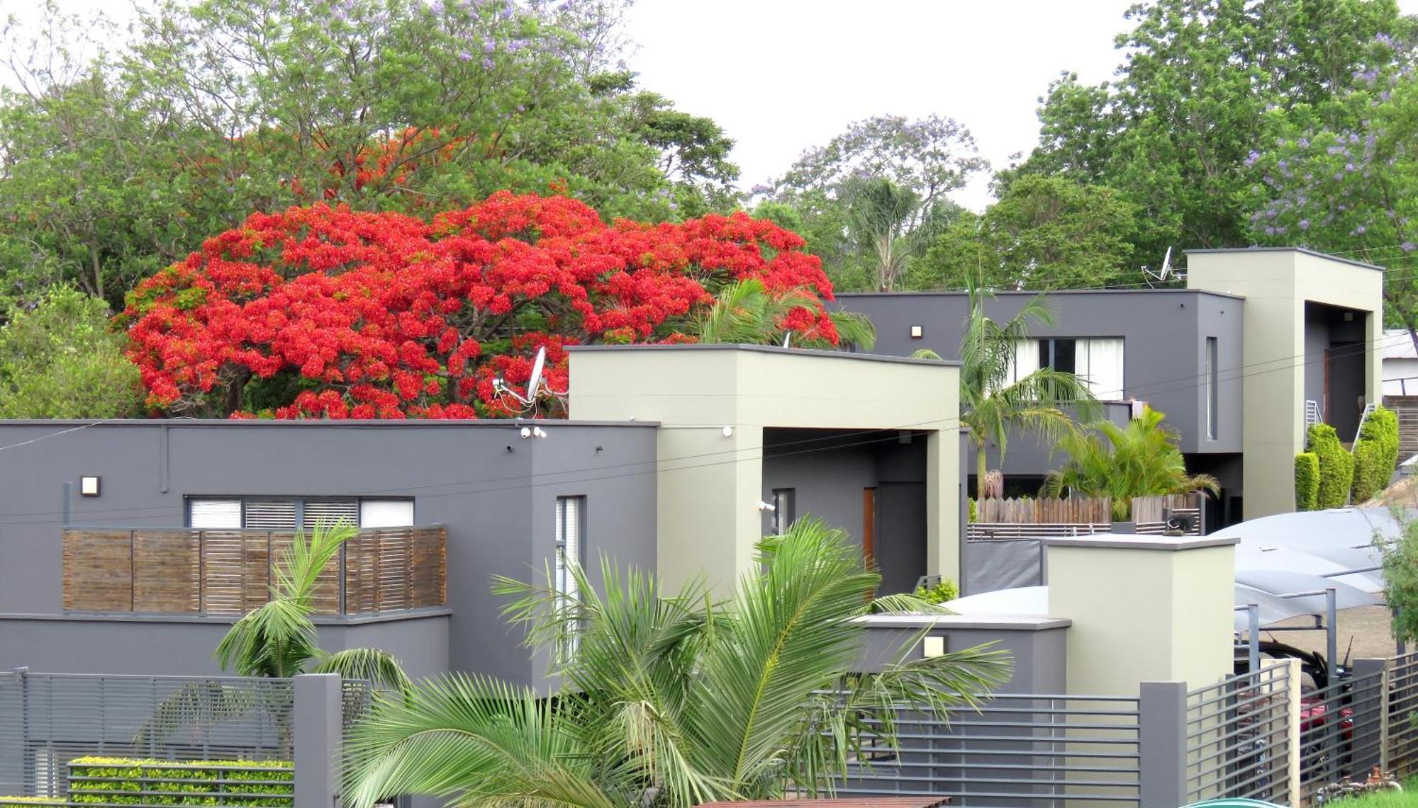 The Executive - Exclusive Self-Catering Apartments - Ezulwini Buitenkant foto